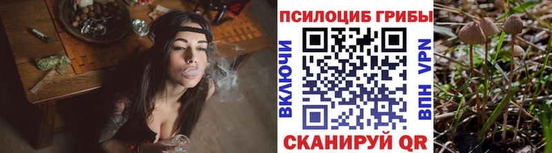 Псилоцибиновые грибы Psilocybine cubensis  Купить где  Чкаловск 
